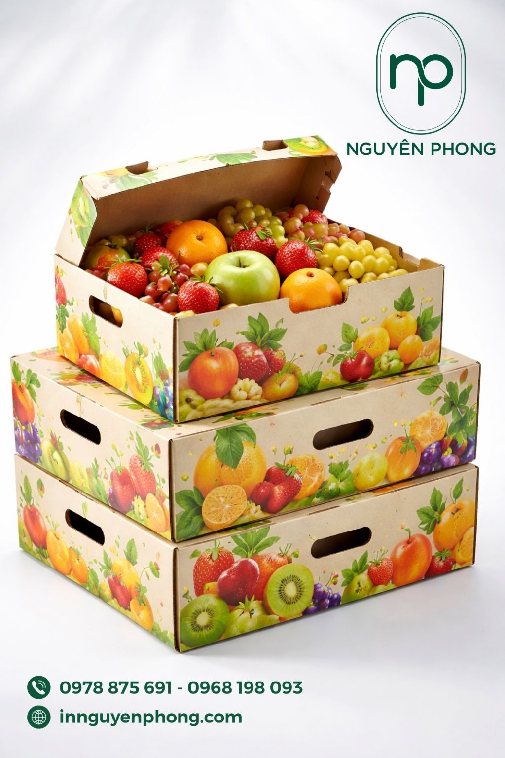 Mẫu khay giấy trái cây đầy đủ thông tin